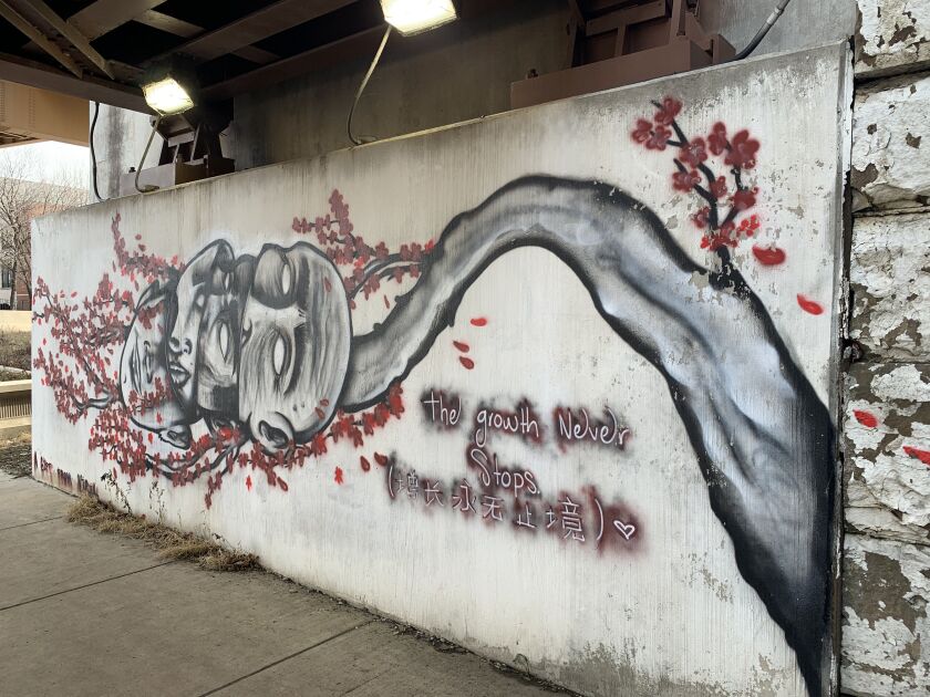 A mural by the artist Viril opposite another that recently was painted by Ocean Muerto.