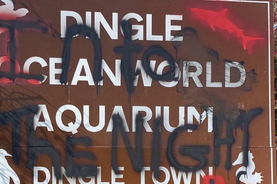 Some of the graffiti on the Oceanworld sign.