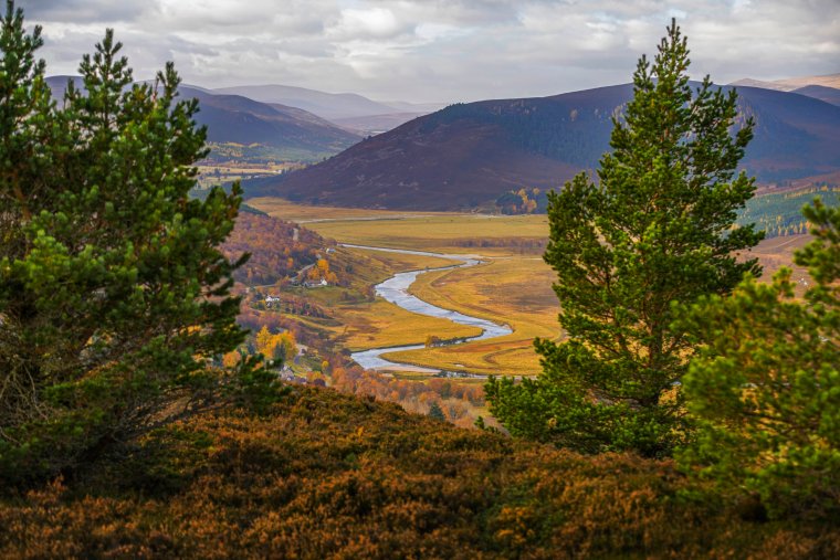 The cairngorms national park. Image via Visit Scotland