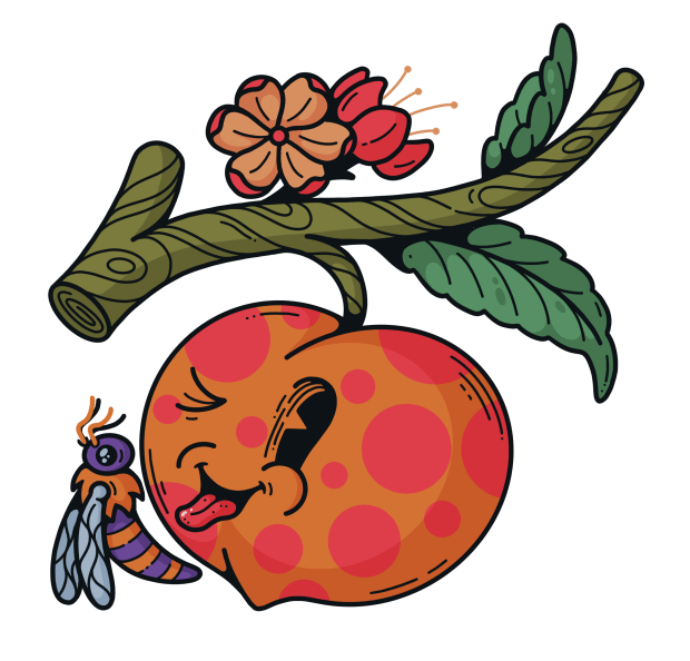 Local grower Drew Harding is partnering with a UK-based artist to release digital artwork of peaches that can be redeemed for a box of real Palisade peaches. (Courtesy PΞACHES)