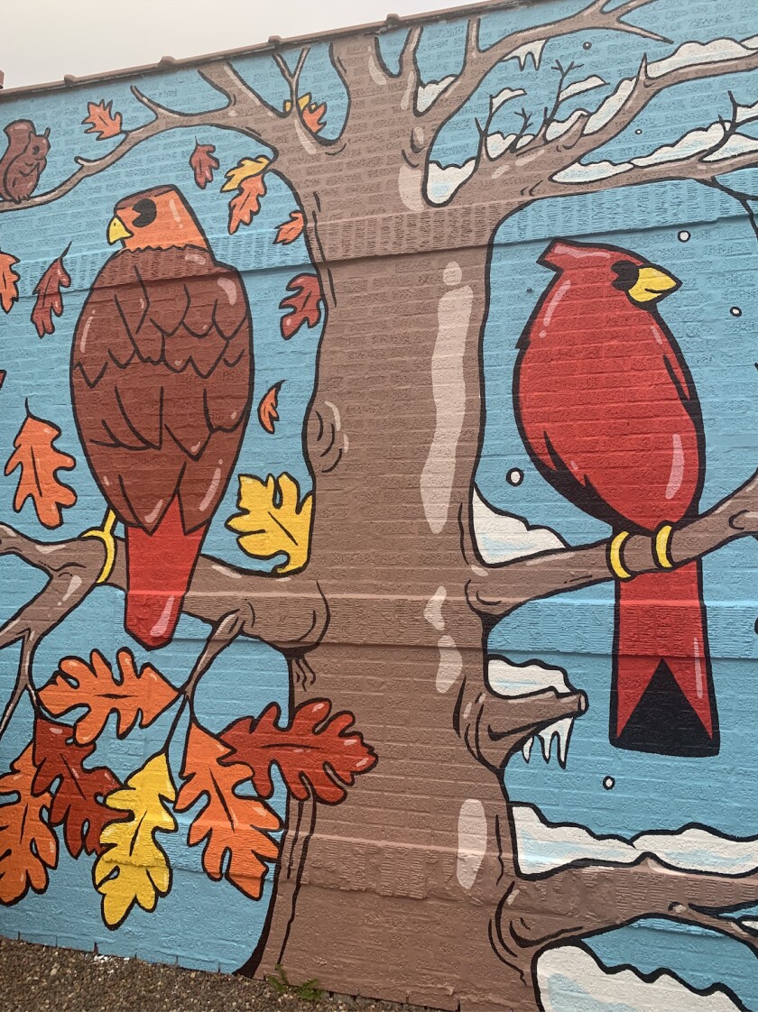 A red-tailed hawk and a cardinal are among the birds portrayed in a new Northbrook mural.