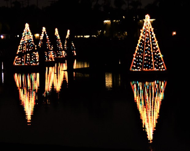 The Alamitos Heights Neighborhood Association celebrated the annual lighting of...