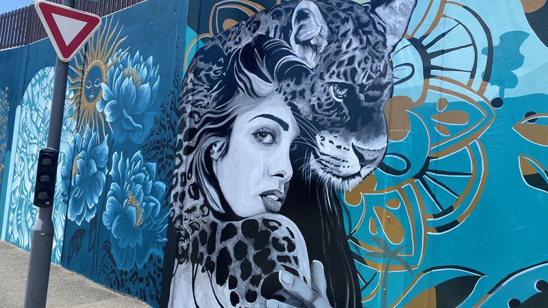 fresque dumbéa