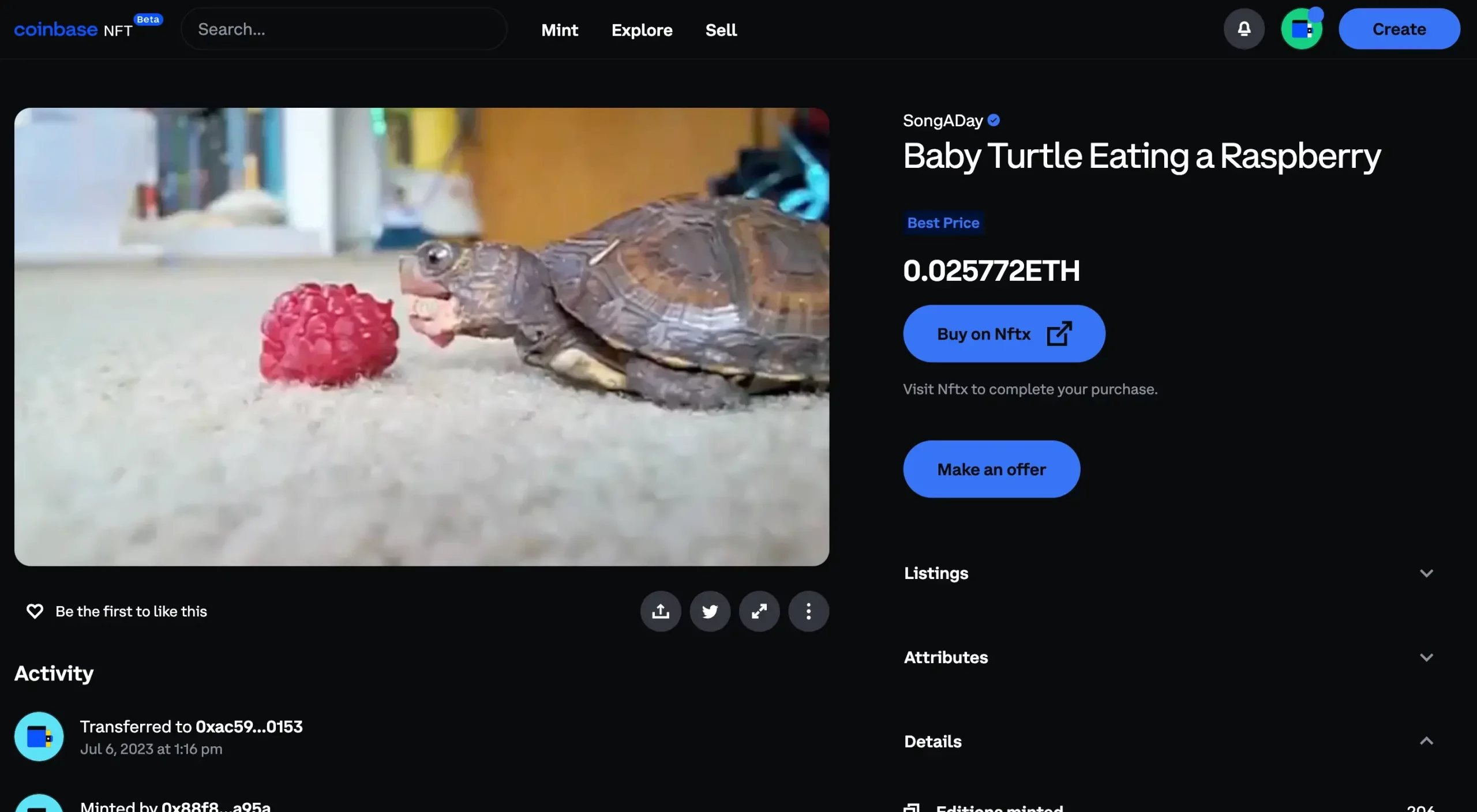 Baby Turtle Eating a Raspberry