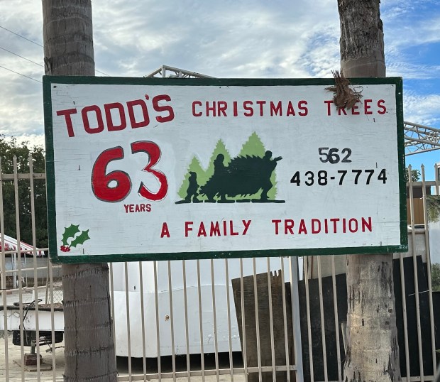 Todd’s Christmas Trees, celebrating 64 years in business — though...