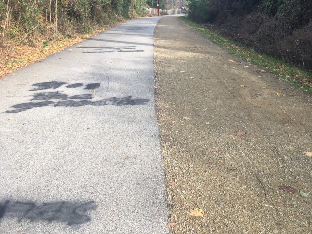 Some of the graffiti that was found along the Cynwyd...