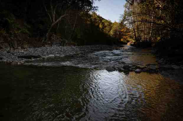 The San Gabriel River East Fork in the San Gabriel...
