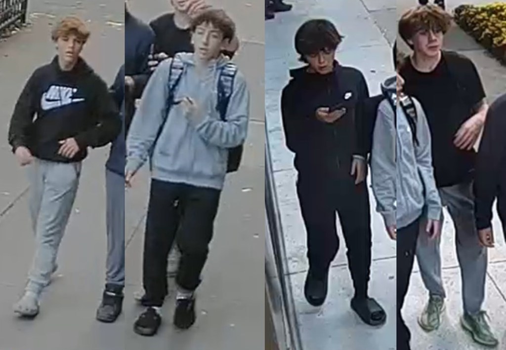 Police are looking for four males accused of spray-painting swastikas on rooftops.
