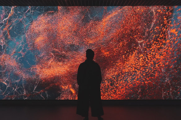 Marshmallow Laser Feast, Evolver, 2023.