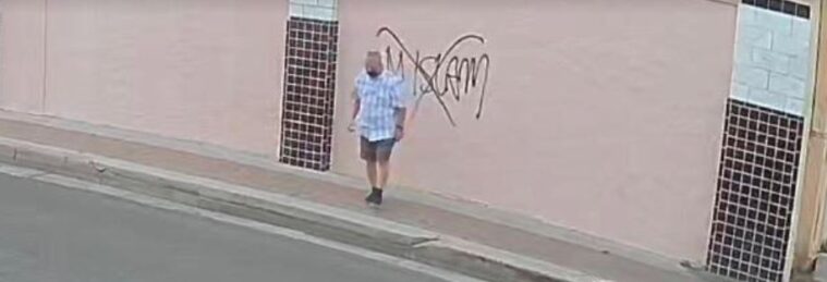 Surveillance footage shows a man in a checkered, light blue shirt spray-painting 