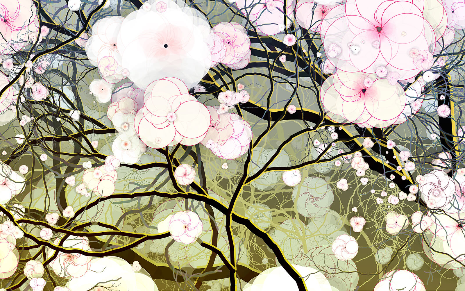 02 Sakura, 2020 | Holger Lippmann | STIRworld