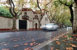 Colorful autumn leaves on brick pavement floor at fall. Autumn yellow leaves on pedestrian passage. Platanus tree leaves on wet asphalt road. Landscape of Shanghai Wukang road in rainy day.