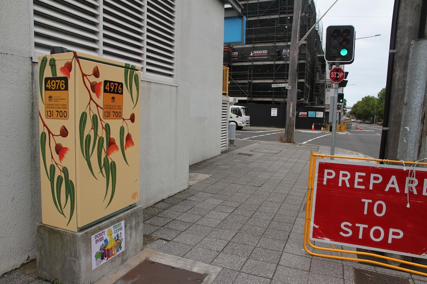 A traffic control box with Australian native plants painted on it. 