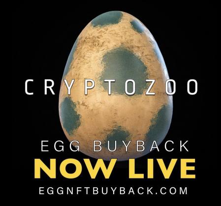Paul announced the refund initiative on X