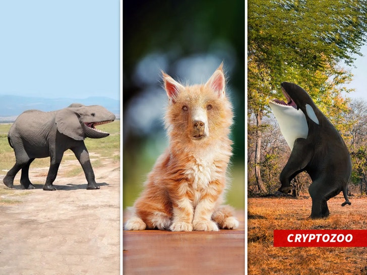 CryptoZoo