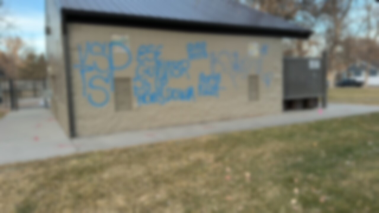 Pioneer Park graffiti blurred