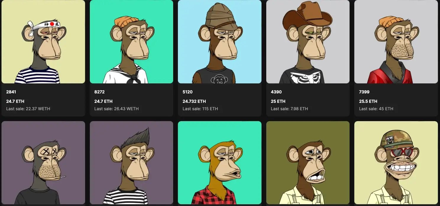 Bored Ape Yacht Club (BAYC)