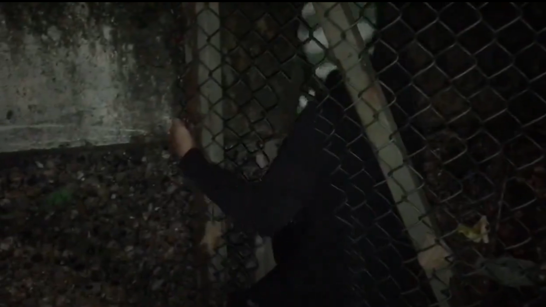They slipped through the fencing