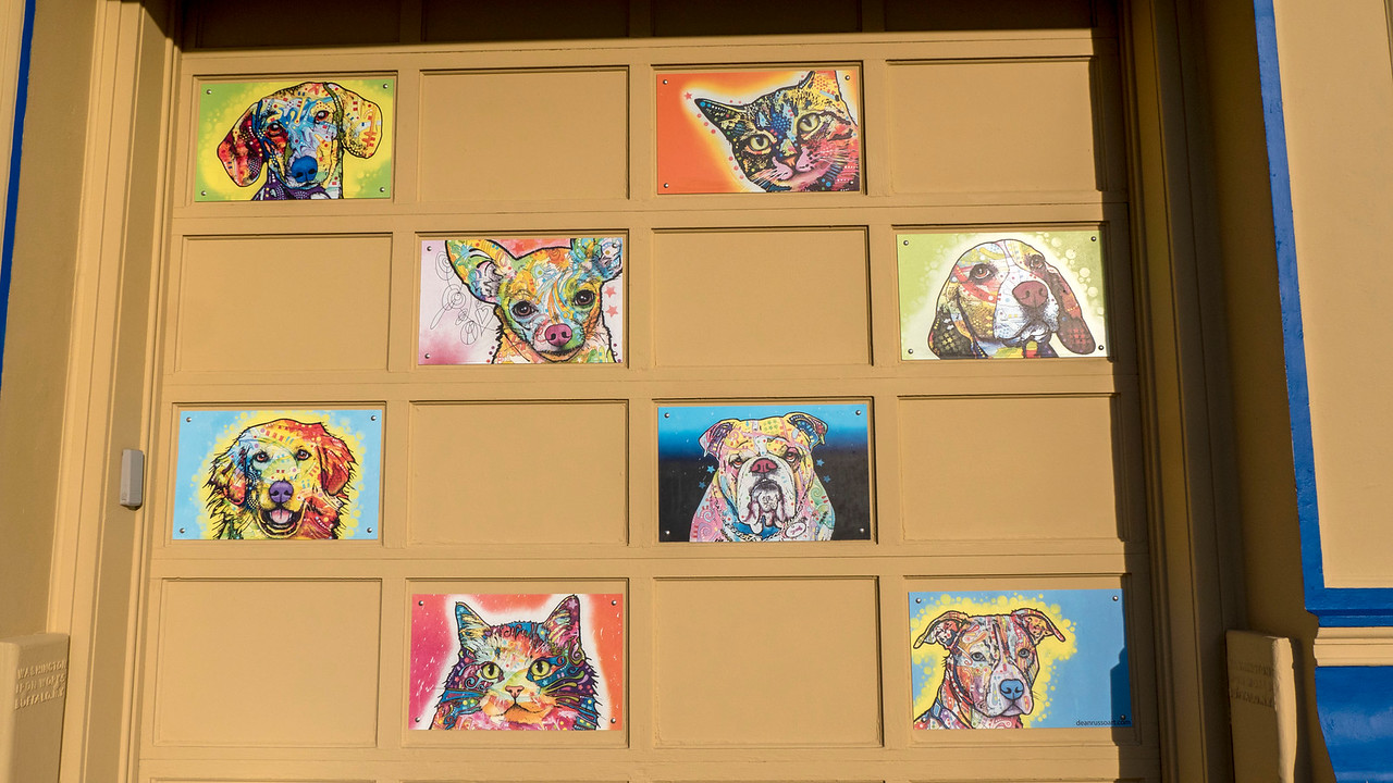 McClelland Small Animal Hospital