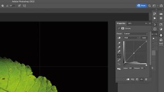 Botanical photo art