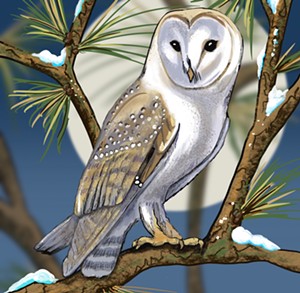 Watercolorist celebrates local bird fest with bird-themed art classes