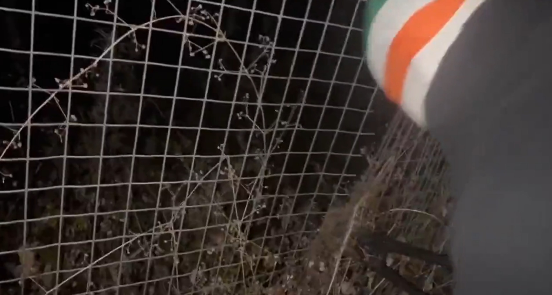The fans used wire cutters to break into the train depot