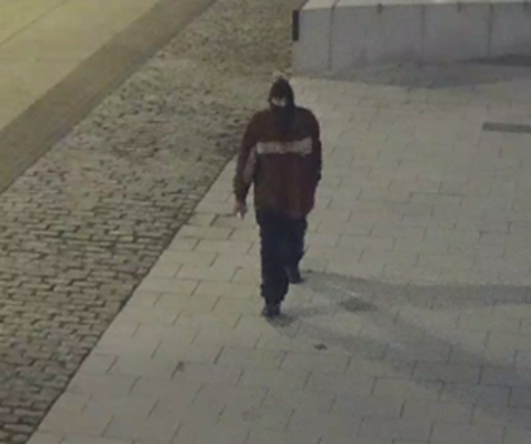 <p>The vandal was caught on CCTV</p>
