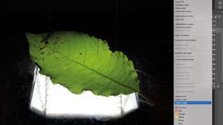 Botanical photo art