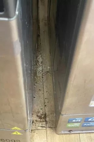 Dirt and crumbs between appliances