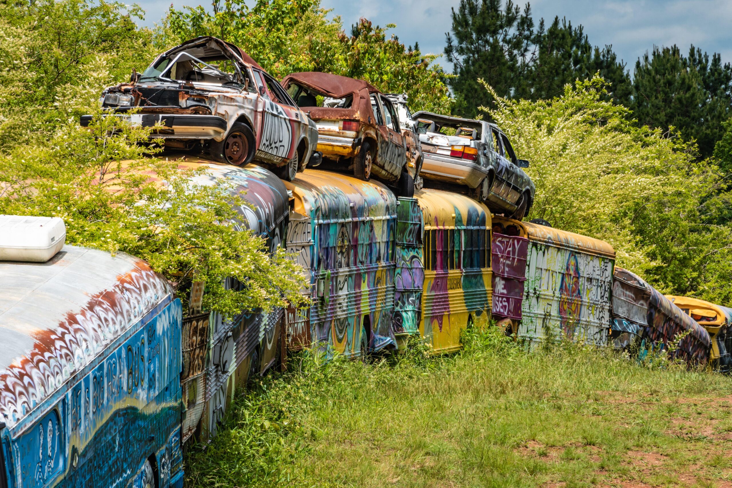 The school bus graveyard has become a unique attraction