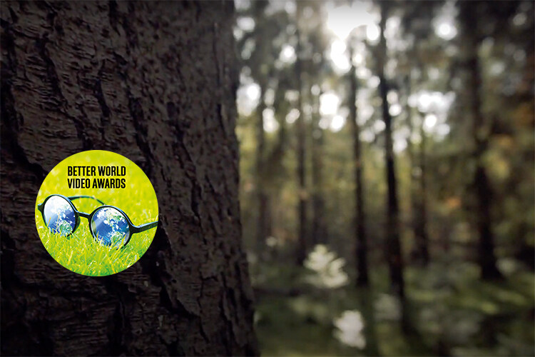 Hoot hiss howl by WILD foundation for better world video awards
