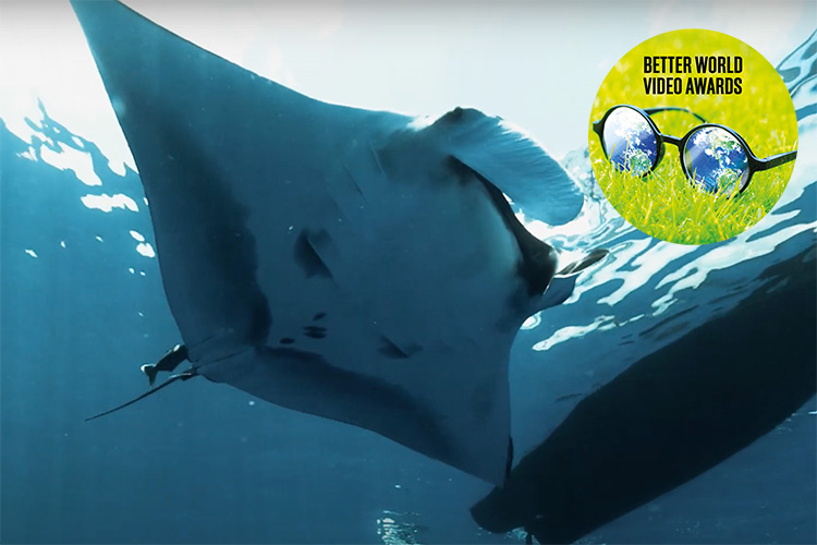 manta trust better world video awards