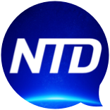 ntd newsletter icon ntd newsletter icon