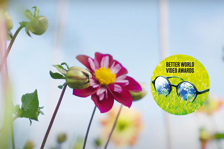 The nature restorers devon environment foundation better world video awards