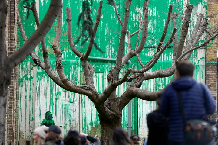 An environmentally themed mural by elusive street artist Banksy that appeared last week on a London street has been encased in plastic and surrounded by fencing after an apparent act of vandalism.