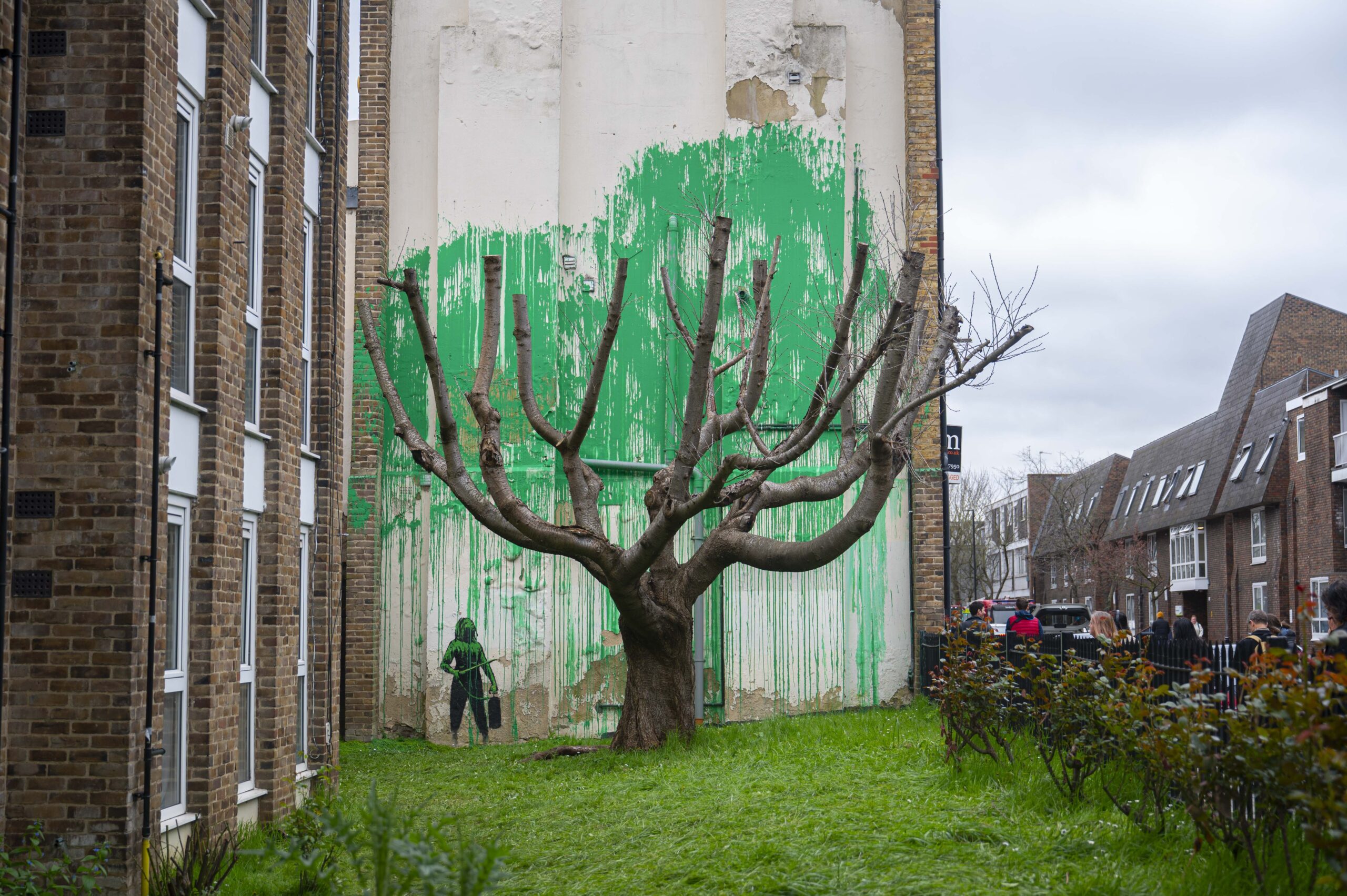 Green graffiti painting on building that resembles foliage of barren tree 