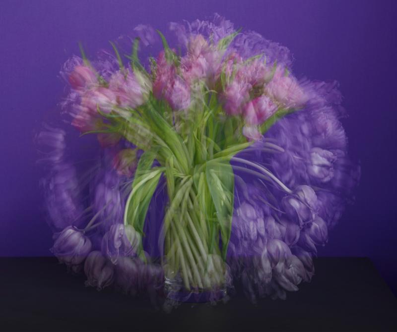 Tulipa NFT by Michael Wesely