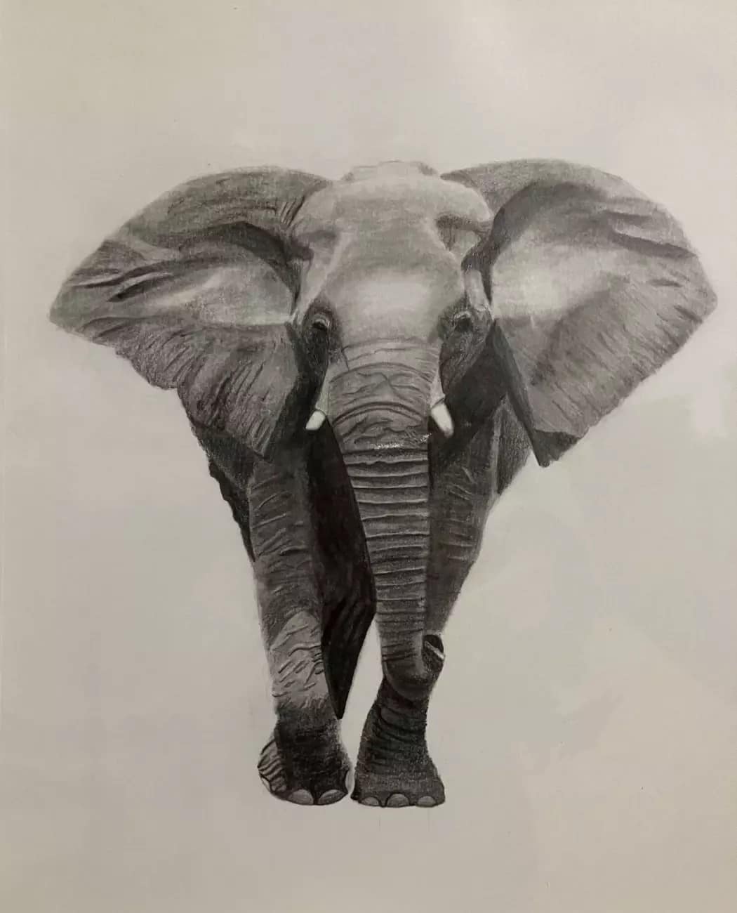Twelve year old's drawing of an elephant