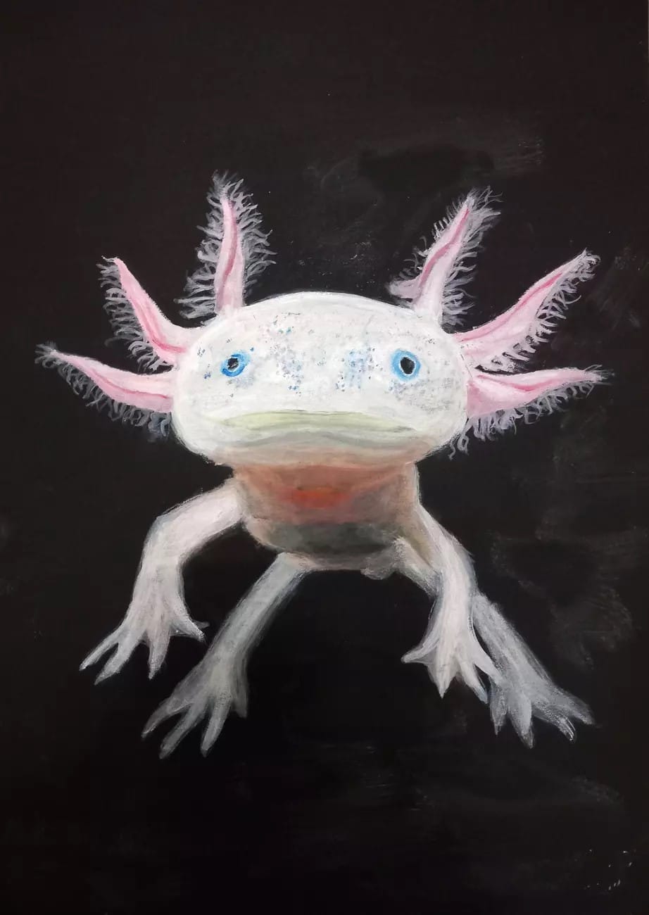 World Wildlife Day 2024 International Youth Art Contest