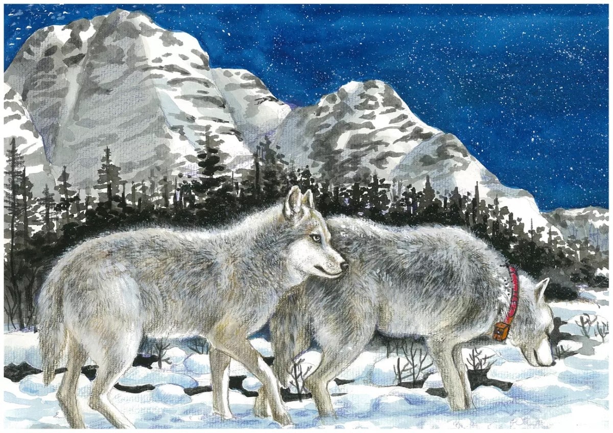 Teenager's drawing of a pack of wolves