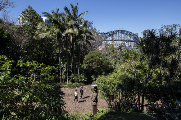 Wendy Whiteley’s Secret Garden at Lavender Bay.