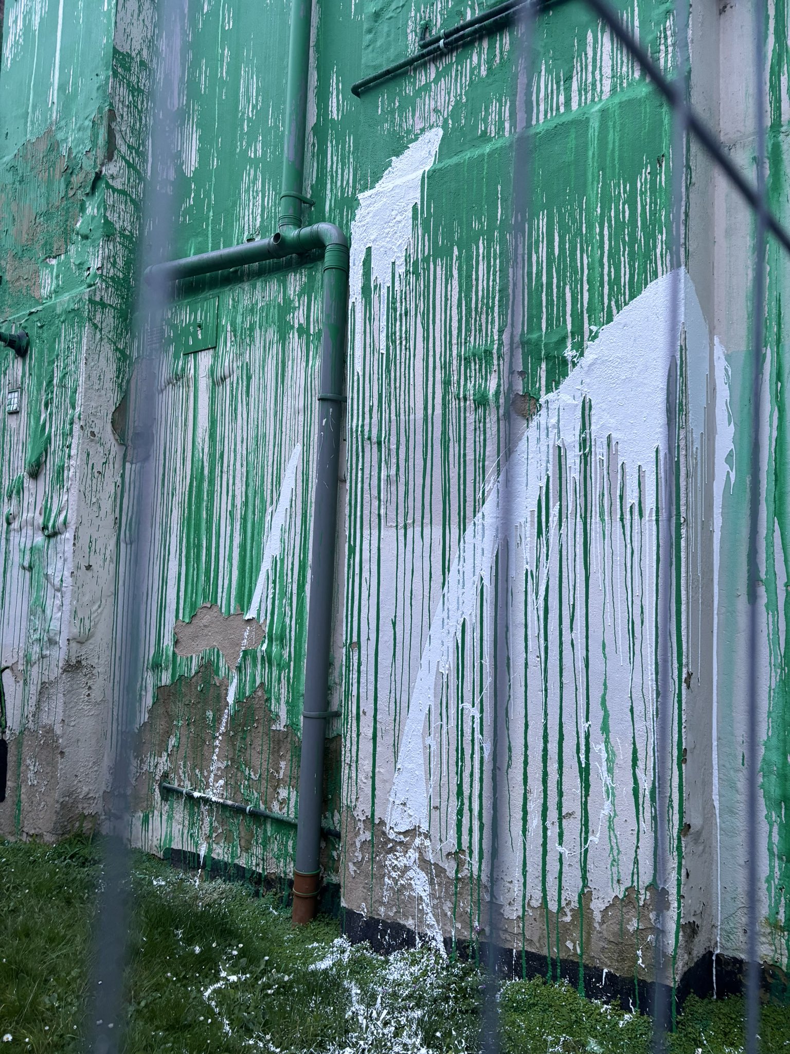 The new Banksy tree mural artwork painted on the side of a home has reportedly been vandalised with white paint