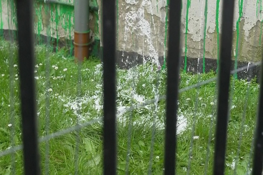 Splashes of white paint on the Banksy mural covering green paint on wall behind fence