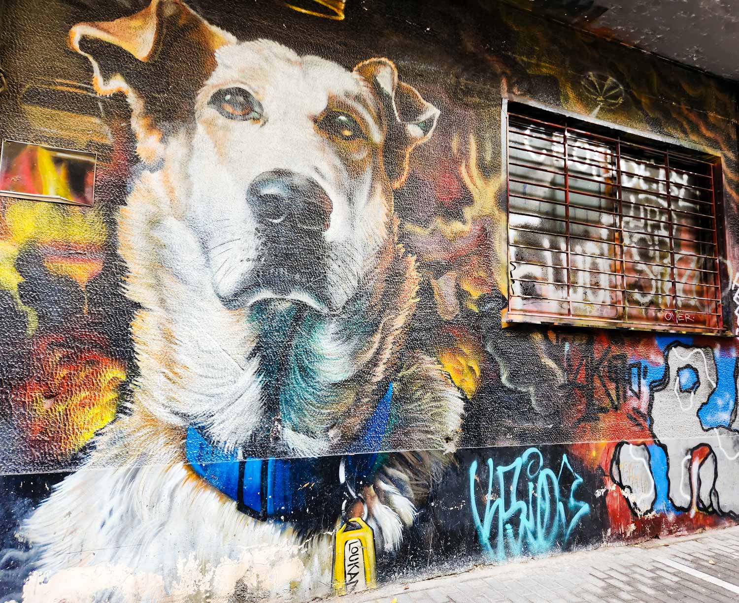 Riot dog Loukanikos painted on a wall in Athens - my review of our street art tour of Athens with kids