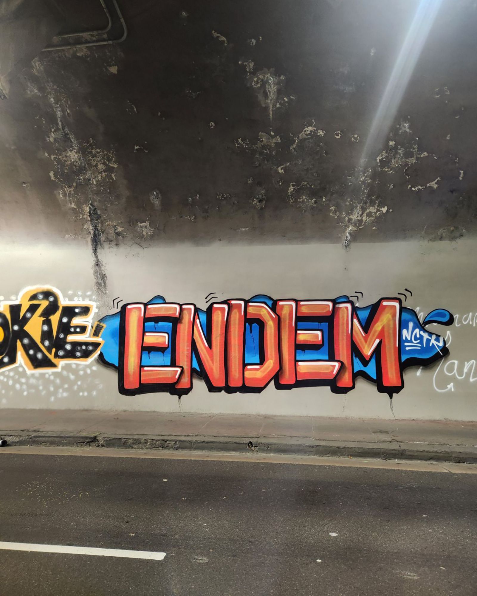 ENDEM's tag, pictured here adorning the walls of the 3rd Street tunnel in Downtown Los Angeles.