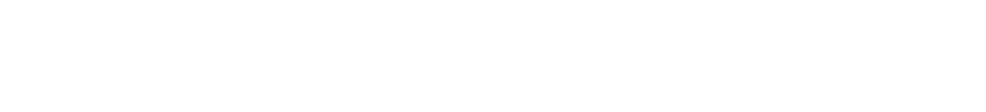 2024 Election Logo White